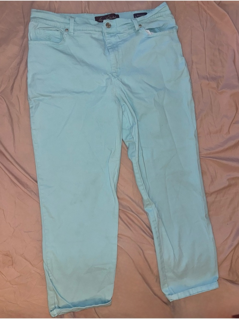Gloria Vanderbilt Light Aqua Blue Pants